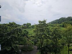 Blk 394 Goodview Gardens (Bukit Batok), HDB 5 Rooms #589706991